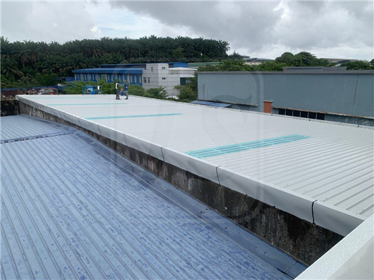 Metal Roofing